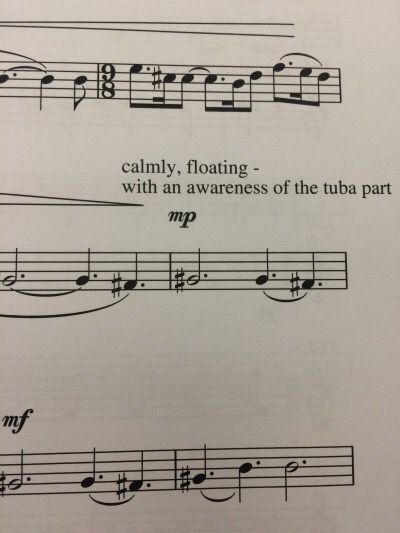 Threatening Music Notation, Music Annotations, Funny Band Jokes, Orchestra Humor, Music Memes Funny, Band Funny, Marching Band Memes, Song Memes, Musician Humor