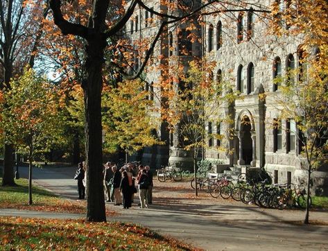 Leaves On The Ground, Princeton New Jersey, Fall Mood Board, Autumn In New York, Fall Semester, Princeton University, Season Of The Witch, Best Seasons, The Secret History