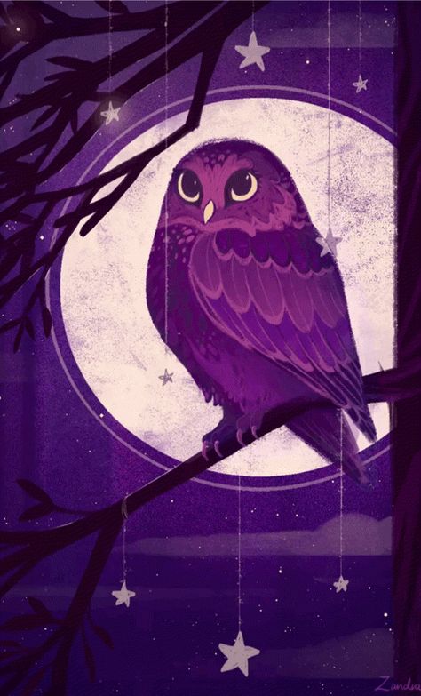 Owl Wallpaper, Purple Owl, Wally West, Owl Illustration, Tim Drake, Witch Aesthetic, Night Owl, Arte Animal, Cute Owl