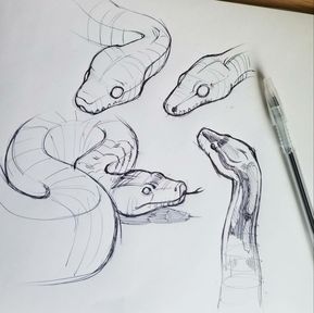 Devin Elle Kurtz, Snake Sketch, Plant Sketches, Snake Drawing, Snake Art, Desenho Tattoo, Animal Sketches, Arte Animal, Tattoo Sketches