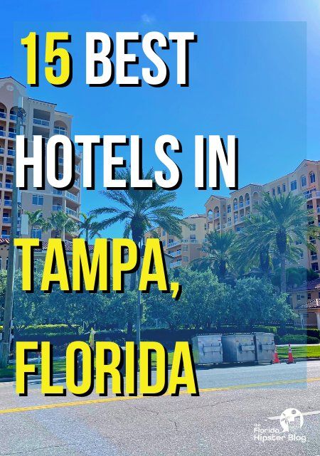 Where to Stay in Tampa: 15 Best Hotels for ALL Budgets (2023) - Florida Hipster Tampa Florida Things To Do In, Florida In December, Tampa Airport, Busch Gardens Tampa Bay, Travel Florida, Busch Gardens Tampa, Seaworld Orlando, Florida Hotels, Tampa Bay Area