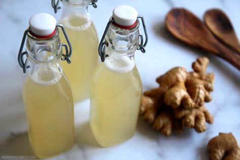 This probiotic-rich, naturally fizzy homemade ginger ale is easy to make and super delish. Ginger Ale Recipe, Homemade Ginger Ale, Ginger Bug, Ale Recipe, Soft Gingerbread Cookies, Homemade Soda, Fermented Drink, Ginger Recipes, Ginger And Honey