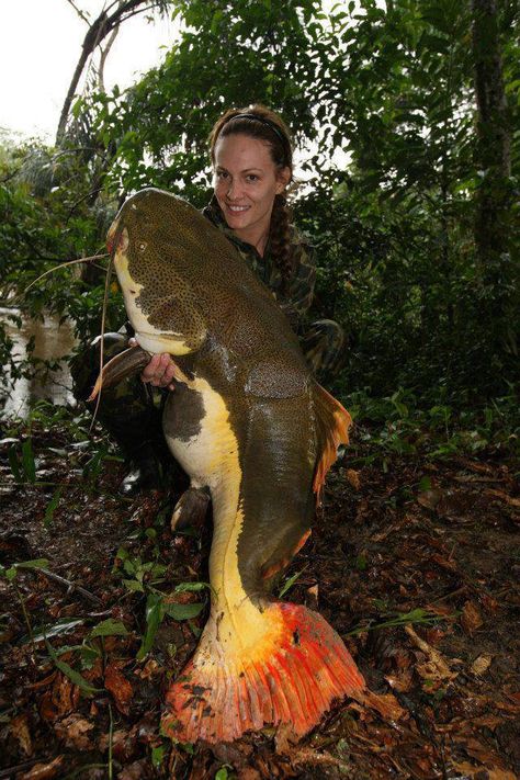 Nice redtail catfish! Redtail Catfish, Family Fishing, Girls Fishing, Fishing Photos, Hunting Girls, Ocean Fishing, Fishing Stuff, Fishing Girls, Favorite Animals