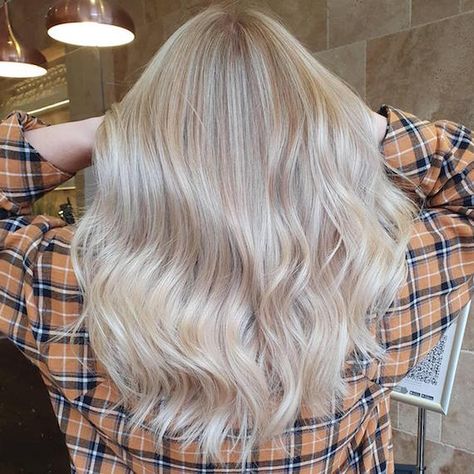 How to Create Beige Blonde Hair Color | Wella Professionals Level 8 Hair Color, Cream Blonde Hair, Beige Hair Color, Beige Blonde Hair Color, Nordic Blonde, Toner For Blonde Hair, Pastel Rainbow Hair, Blonde Toner, Beige Blonde Hair