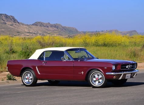 1964 Mustang, 64 Mustang, 1964 Ford Mustang, Ford Mustang 1964, Ford Convertible, Roadster Car, Newbury Park, Old Vintage Cars, Mustang For Sale