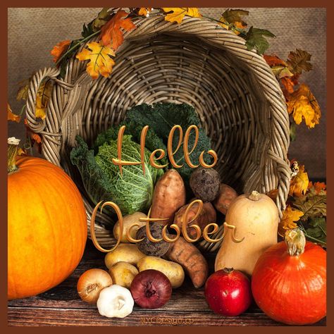 Hello October Images for Instagram and Facebook – NYCDesign.co Thankful Basket, Welcome December Images, Welcome October Images, Hello October Images, October Images, Images For Instagram, Welcome October, December Images, Pumpkin Field