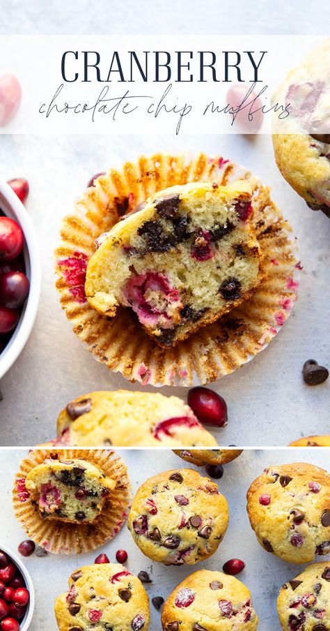 Packed with tangy cranberries and gooey chocolate chips, these cranberry chocolate chip muffins are incredibly soft and perfect for any holiday breakfast. Chocolate Cranberry Muffins, Cranberry Sauce Muffins, Fall Muffins, Cranberry Chocolate, Leftover Cranberry Sauce, Cranberry Muffins, Gluten Free Oatmeal, Oat Muffins, Filled Muffins