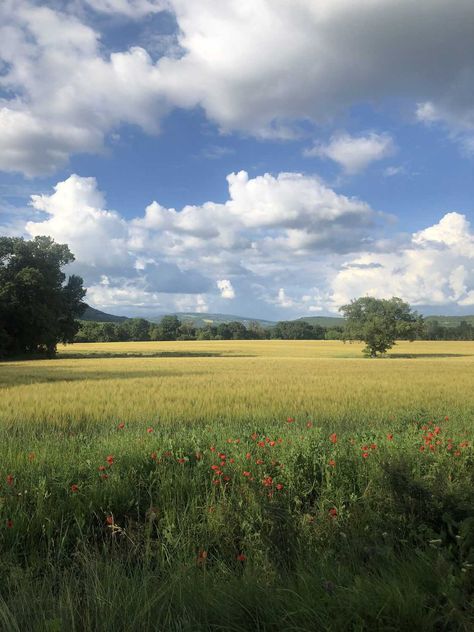 Beautiful Farmhouse, Open Field, Between Us, Classic Casual, Provence, Blue Sky, Farmhouse, Trees, Flowers