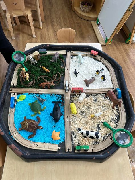 Hibernation Tuff Tray Ideas, Animal Provocations Preschool, Animal Habitat Sensory Bin, Zoo Tuff Tray, Animal Tuff Tray Ideas, Animal Tuff Tray, Sensory Tuff Tray Ideas, Preschool Provocations, Animals Eyfs