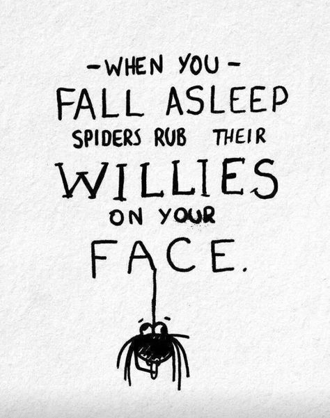 spiders rub their willies on your face while you sleep When You Sleep, Have A Laugh, Fall Asleep, A Drawing, Spiders, Bones Funny, Make Me Smile, How To Fall Asleep, I Laughed