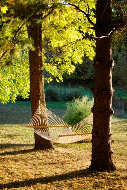 Hammock Under Tree, Hammock In Forest, Hammock In Trees, Hammock Aesthetic, Hammock Photography, South Of France House, Hammock Tree, Tree Hammock, Net Hammock