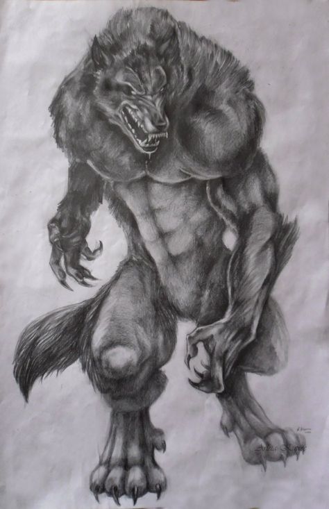 Werewolves, werewolves, and more werewolves. Werewolf Vs Vampire, Werewolf Tattoo, Tattoo Back, Wolf Stuff, Wolf Tattoo Design, Werewolf Art, Vampires And Werewolves, Classic Monsters, Creatures Of The Night