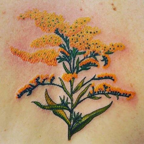 Golden Rods Flowers, Goldenrod Tattoo, Solidago Flower, Awesome Tattoos, Pattern Tattoo, Flower Tattoo Designs, American Traditional, Tattoo Inspo, Black Tattoos