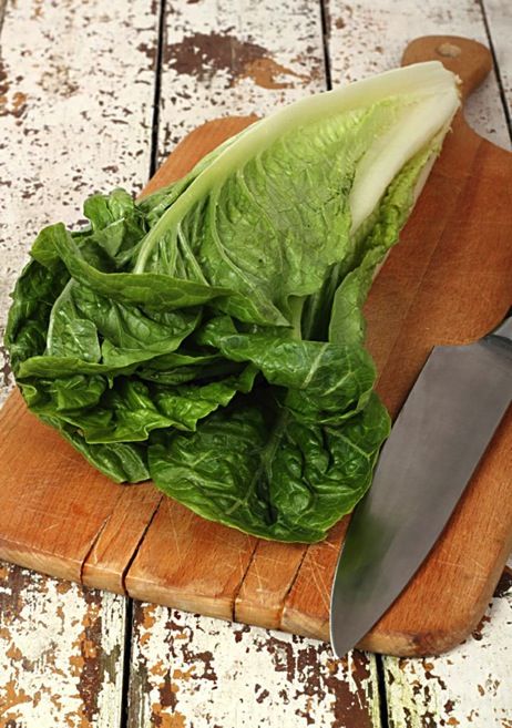 romaine lettuce - Everday Good Thinking @hamiltonbeach Storing Lettuce, Parris Island, Hydroponic Farming, Lettuce Seeds, Leafy Vegetables, Vegetable Seeds, Organic Seeds, Romaine Lettuce, Heirloom Seeds