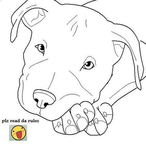 Pit Bull Drawing, Pitbull Drawing, Pitbull Tattoo, Pitbull Art, Bull Art, Pets Drawing, Pit Bulls, Animal Sketches, Dog Drawing