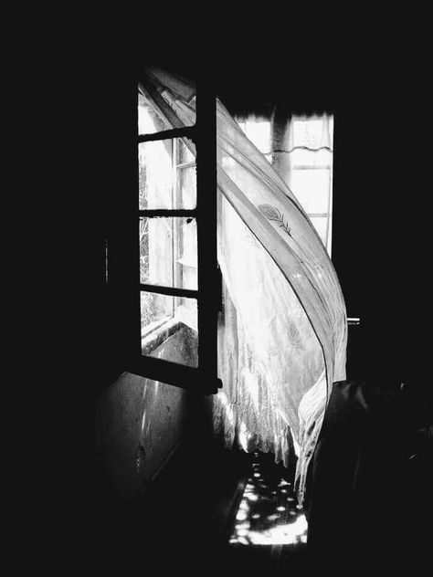 Overexposed Photography, Girl Curtains, Creepy Photography, Curtain Drawing, Dark Windows, Disney Silhouette, Rain Photo, Love Cartoon Couple, Cinema Art