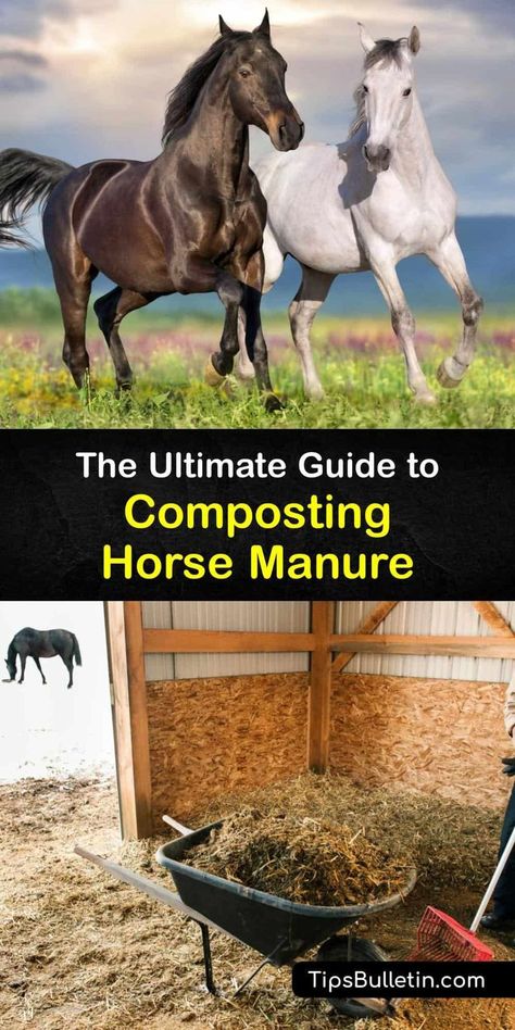 If you’re a horse owner, composting horse manure turns fresh horse manure into valuable horse manure compost. Compost fresh manure, keep the compost pile damp with clean water, and use composted manure in the garden. Avoid composting weeds to prevent spreading weed seed. #compost #horse #manure Manure Compost Bin, Horse Manure Management, Build Compost Bin, Chicken Manure Compost, Composting Tips, Compost Turner, Manure Composting, Manure Management, How To Compost