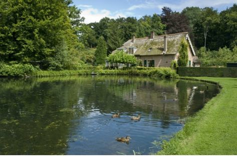 Build A Pond, Pond Construction, Farm Pond, Building A Pond, Natural Swimming Ponds, Diy Pond, Pond Waterfall, Swimming Pond, Natural Pond