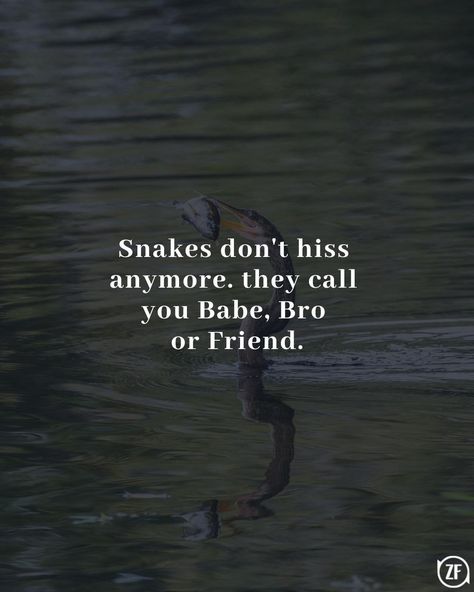 Snakes Don't Hiss Anymore Quotes, Snake Friends Quotes, Snake Quotes, Call My Friend, Original Iphone Wallpaper, Savage Quotes, Snapchat Picture, Dont Call Me, Joker Quotes