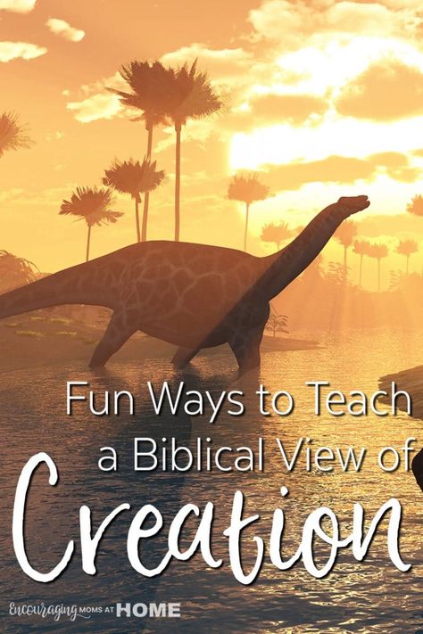 Creation Bible Lessons, Creation Activities, 7 Days Of Creation, Creation Bible, Creation Science, Biblical Worldview, Bible College, Bible Study For Kids, Bible Crafts For Kids