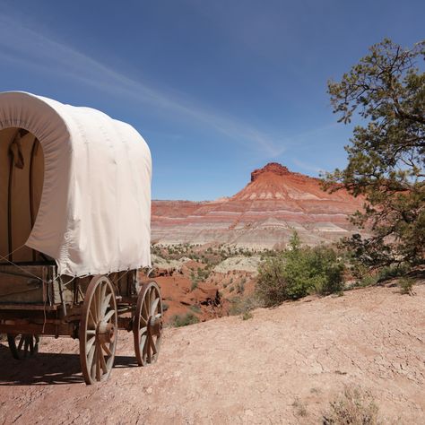 Happy Pioneer Day, Utah! Let's honor courageous pioneers who blazed a trail of hope across Utah's landscapes. July 24th marks their arrival in 1847, led by Brigham Young. Reflect on their indomitable spirit and join celebrations with parades, concerts, and fireworks. Express gratitude for their sacrifices, unity, and love for Utah. Let's cherish our past, embrace the present, and build a remarkable future. Happy Pioneer Day! ✨🚀 #PioneerDay #UtahPioneers #UtahStrong #Gratitude #Community Pioneer Aesthetic, Pioneer Town, Weird West, Pioneer Day, Brigham Young, Express Gratitude, Expressing Gratitude, Fireworks, Mansion