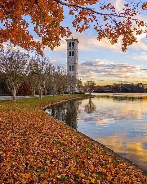 Furman University Bell Tower Furman University, South Usa, Dream Collage, College Days, Architecture Sketchbook, Bell Tower, University Of South Carolina, Dream School, Appalachian Mountains