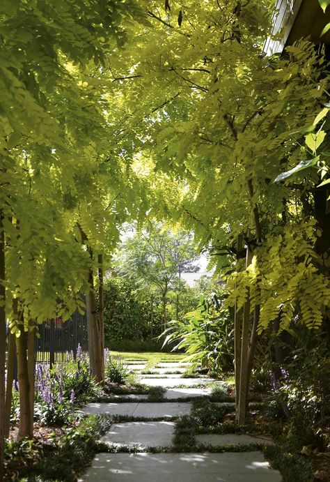 Red Brick Paving, Bluestone Pavers, Tranquil Garden, Outdoor Baths, Homes To Love, Garden Canopy, Formal Garden, Garden Architecture, Formal Gardens