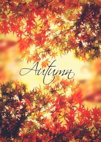 Autumn Reference, Seasons Background, Fall Facebook Cover, Autumn Icons, Nails Thanksgiving, Autumn Poems, First Day Of Autumn, Fall Mood Board, Fall Images