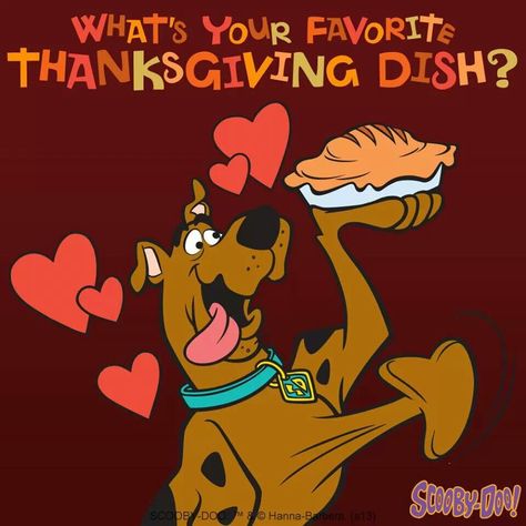 Happy Turkey Day Scooby Doo Thanksgiving, Scentsy Banner, Scooby Doo Costumes, Scooby Doo Pictures, Scooby Doo Mystery Inc, Scooby Doo Images, Thanksgiving Pictures, Scooby Doo Mystery, Happy Turkey Day