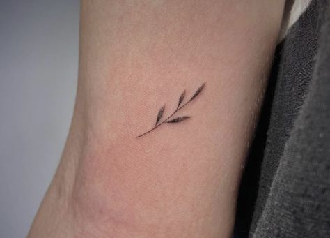 Ash Leaf Tattoo, Tiny Leaf Tattoo, Small Leaf Tattoo, Sprig Tattoo, Eva Tattoo, Stem Tattoo, Tattoo Costillas, Tattoo Minimalista, Olive Tattoo