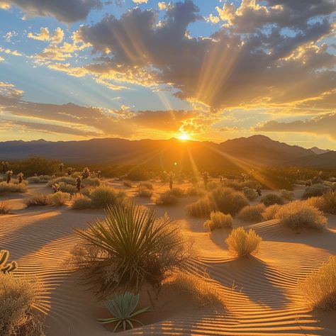 Desert Sunset Rays: A breathtaking desert sunset with radiant sunbeams piercing through the clouds above sandy dunes. #sunset #desert #sunbeams #clouds #sand #dunes #tranquility #golden #aiart #aiphoto #stockcake https://ayr.app/l/963R Desert Landscape Sunset, Desert Landscape Photography, Sunset Desert, Desert Beauty, Desert Aesthetic, Sunrise Mountain, Fantasy World Map, Beautiful Landscape Photography, Desert Sunset