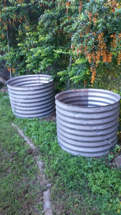 Gardening Knowledge, Ideas Jardin, Corrugated Iron, Metal Barrel, Landscaping Ideas, Garden Hose, Garden Beds, Garden Ideas, Landscaping