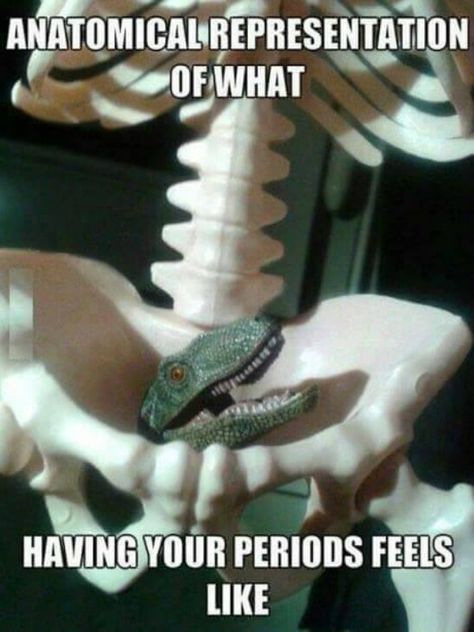 Morbider Humor, Period Humor, Clipuri Video, E Card, Laughing So Hard, I Smile, Bones Funny, T Rex, Funny Cute