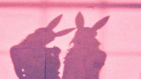 ari's 3rd studio album but it's aesthetic :) (not my photo) Rabbits, Long Hair, Wall, Hair, Pink