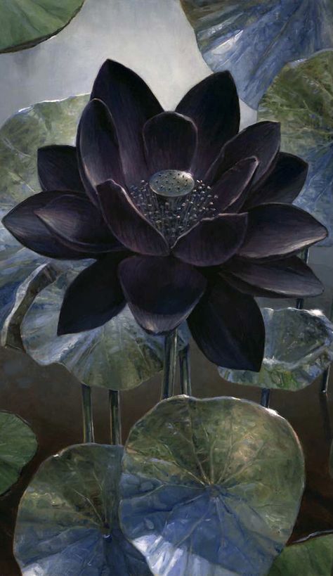 Black Lotus Wallpaper, Mtg Black, Water Lily Tattoos, Lotus Flower Wallpaper, Lotus Wallpaper, Lotus Tattoo Design, Lotus Flower Art, Black Lotus, Lotus Art