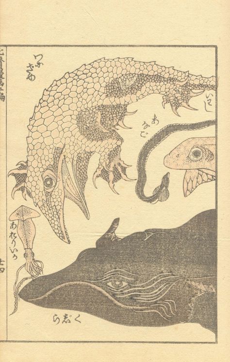 Japanese Mythical Creatures, Japan Illustration, Japanese Drawings, Japanese Illustration, Japanese Tattoo Art, Japanese Woodblock Printing, Mythological Creatures, Japanese Painting, Japan Art