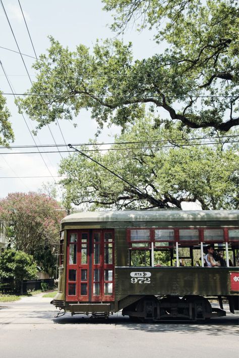 Riding the Streetcar in New Orleans – Garden & Gun New Orleans Trolley, New Orleans Culture, Southern Witch, Guy Jewelry, Stagnant Water, San Myshuno, New Orleans Travel, Light Rail, Big Easy