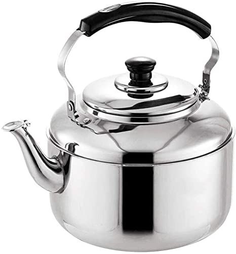 Stovetop Kettle, Induction Stove Top, Stainless Steel Stove, Stainless Steel Kettle, Hot Water Dispensers, Whistling Tea Kettle, Tea Kettles, Induction Stove, Living Room Size