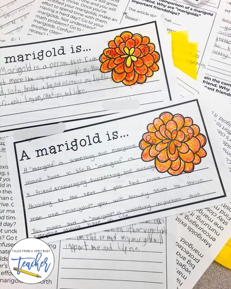 Help Your Students Find Their Marigold – Tales From a Very Busy Teacher Be A Marigold Quote, Find Your Marigold, Be A Marigold Teacher, Build Classroom Community, Rs Activities, Motivational Ideas, Behavior Incentives, Reading Wonders, Teacher Motivation