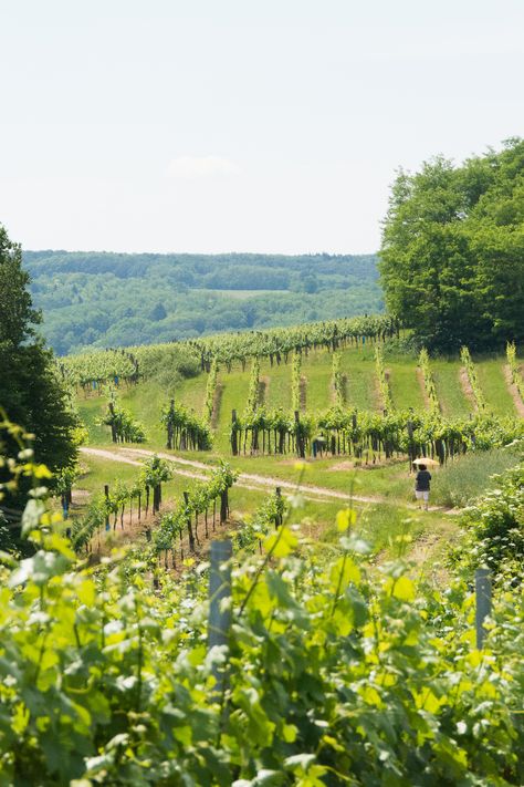 Vienna Countryside, Idyllic Countryside, Medieval Towns, Gorgeous Places, Hiking Europe, Hong Kong Travel, Italy Travel Guide, Croatia Travel, Prague Czech Republic