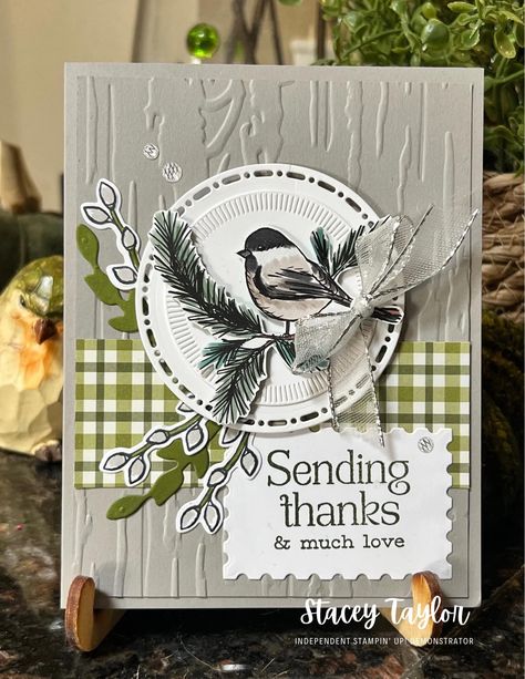 Cards With Wood Grain Paper, Sue Stampfield Cards, Nests Of Christmas Paper Pumpkin, Stampin Up Nests Of Winter Cards, Nests Of Winter Stampin Up Cards, Winterly Treetops Su, Winterly Treetops Stampin Up Cards, Stampin Up New Years Cards, Stampin Up Cards Newest 2024-2025