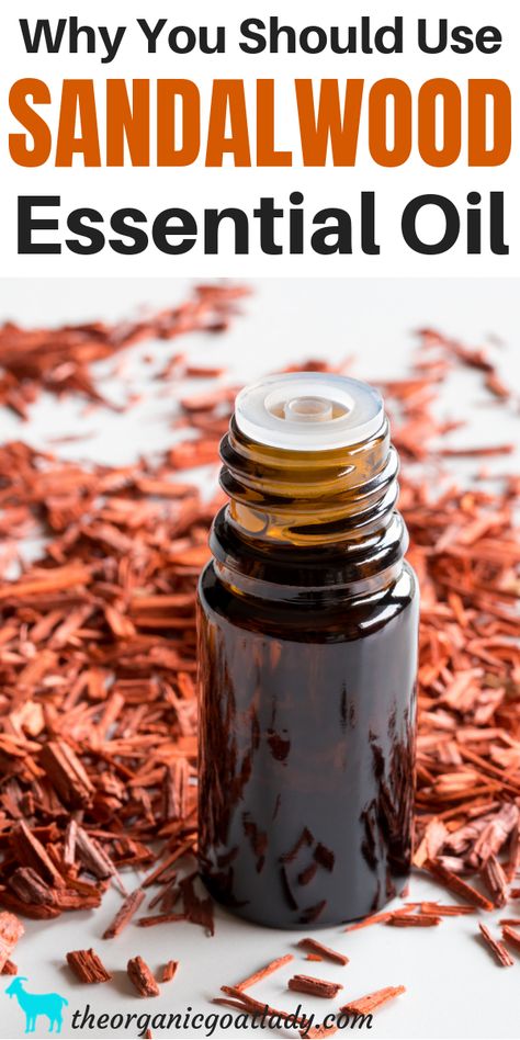 Why You Should Use Sandalwood Essential Oil - The Organic Goat Lady Sandalwood Essential Oil Benefits, Sandalwood Oil Benefits, Sandlewood Essential Oil, Sandalwood Essential Oil, Sandalwood Oil, Essential Oil Benefits, Essential Oil Diffuser Blends, Oil Diffuser Blends, Oil Benefits