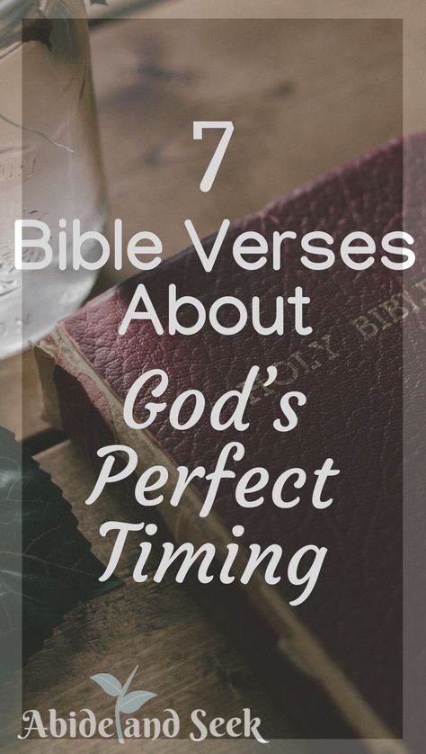 7 Bible Verses About God's Perfect Timing - Abide and Seek God's Perfect Timing Quotes, Relationship Verses, Gods Timing Quotes, Bible Verses For Girls, Bible Verses About Relationships, God's Perfect Timing, Trust Gods Timing, God's Timing Is Perfect, Gods Plan Quotes