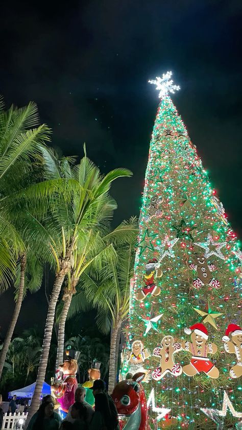 Christmas In Hawaii Aesthetic, Tropical Christmas Aesthetic, Miami Christmas, Christmas In Hawaii, Vacay Spots, Honolulu City, Things To Do In Hawaii, December Wallpaper, Hawaii Christmas