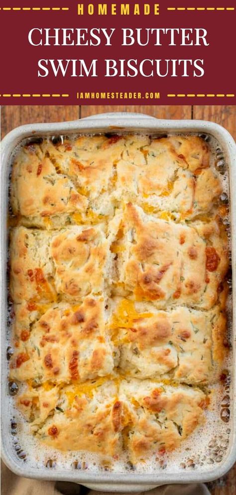 Garlic Cheese Biscuits, Butter Swim Biscuits, Butter Biscuits Recipe, Cheddar Cheese Biscuits, Swim Biscuits, Easy Homemade Biscuits, Frozen Biscuits, Homemade Biscuits Recipe, Cheesy Biscuit