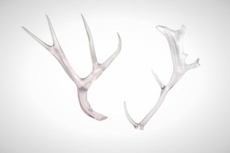 Lucite Deer Antlers - LOVE!!  20 Clearly Fascinating Lucite Finds for the Home via Brit + Co. Lucite Chairs, Gilmore Girls Gifts, Winter Wedding Guest Dress, Winter Wedding Guests, Contemporary Accessories, Jewelry Hanger, Lily Rose Depp, Contemporary Home Decor, Deer Antlers