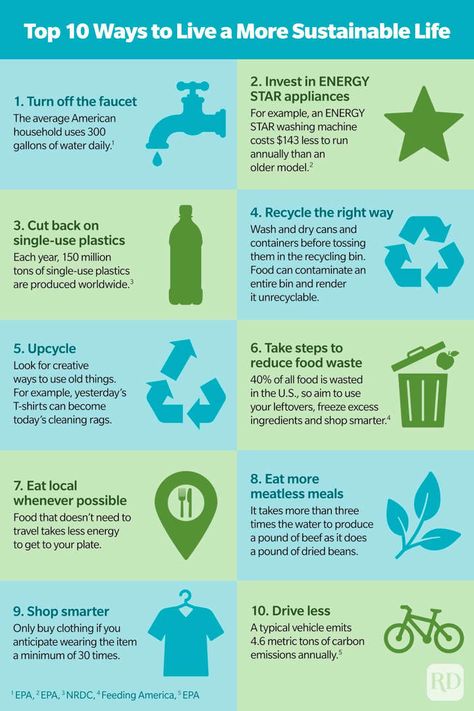 Eco Friendly Infographic, Sustainable Living Tips, Sustainable Living Poster, Sustainable Hacks, Sustainable Decorations, Sustainability Infographic, Eco Aesthetic, Sustainable Apartment, Recycle Preschool