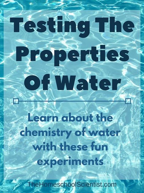 Water Worksheet, Science Experiments Kids Preschool, Biology Experiments, Water Science Experiments, Properties Of Water, Capillary Action, Chemistry Projects, Water Experiments, Middle School Science Experiments