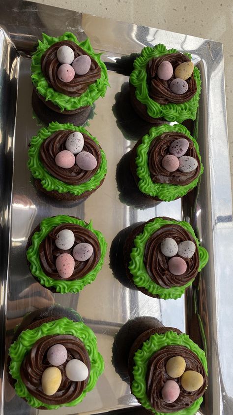 Bird Nest Cupcakes, Nest Cupcakes, Spring Cupcakes, Themed Desserts, Piping Tips, Easter Colors, Animal Photos, Easter Ideas, Cute Animal Photos