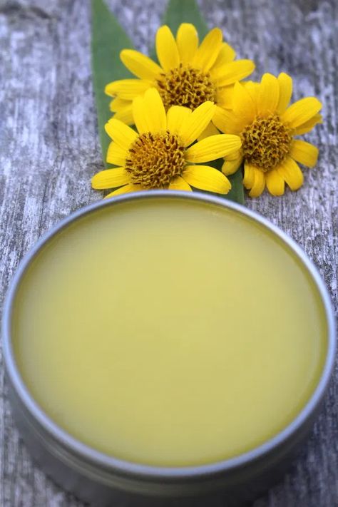 Homemade Salve Recipes, Herbal Salve Recipes, Arnica Salve, Healing Salve Recipe, Arnica Oil, Salve Recipes, Herbal Salves, Infused Oil, Healing Salves